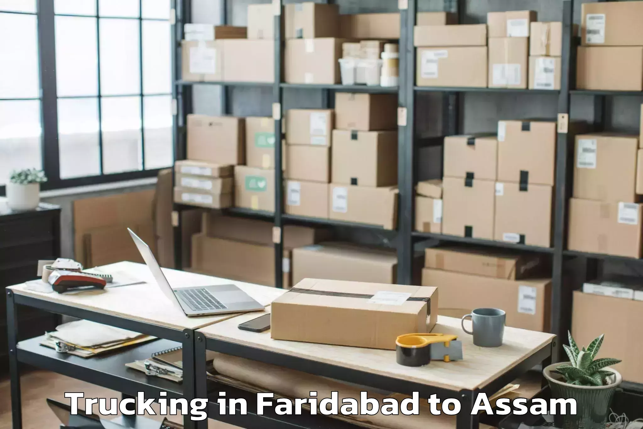 Easy Faridabad to Doboka Town Trucking Booking